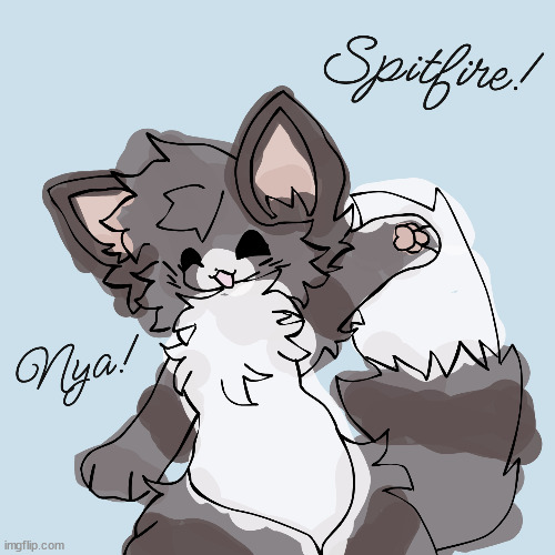 ITS SPITFIRE! | image tagged in meow | made w/ Imgflip meme maker