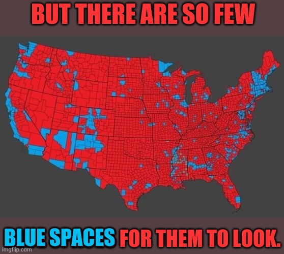 2024 Election by County | BUT THERE ARE SO FEW BLUE SPACES FOR THEM TO LOOK. BLUE SPACES | image tagged in 2024 election by county | made w/ Imgflip meme maker