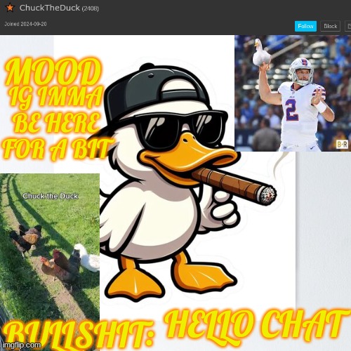 ChuckTheDuck announcement template version 1 | IG IMMA BE HERE FOR A BIT; HELLO CHAT | image tagged in chucktheduck announcement template version 1 | made w/ Imgflip meme maker