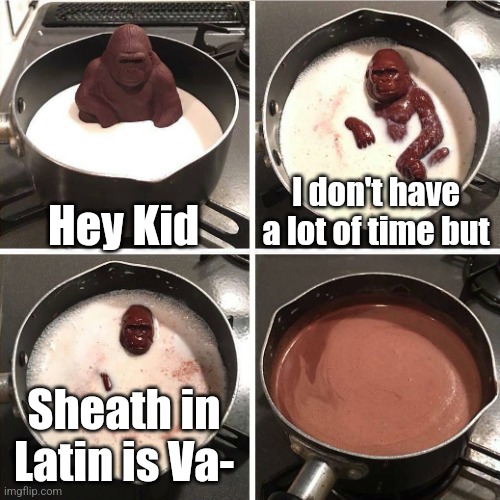 Boojaynah | Hey Kid; I don't have a lot of time but; Sheath in Latin is Va- | image tagged in chocolate gorilla,funny,latin,translation | made w/ Imgflip meme maker