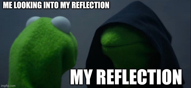 Reflections | ME LOOKING INTO MY REFLECTION; MY REFLECTION | image tagged in memes,evil kermit | made w/ Imgflip meme maker