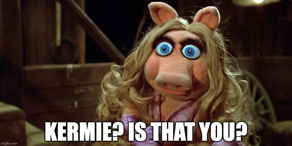 Kermie? Is that you? | KERMIE? IS THAT YOU? | image tagged in kermit the frog,miss piggy,glory,hole | made w/ Imgflip meme maker