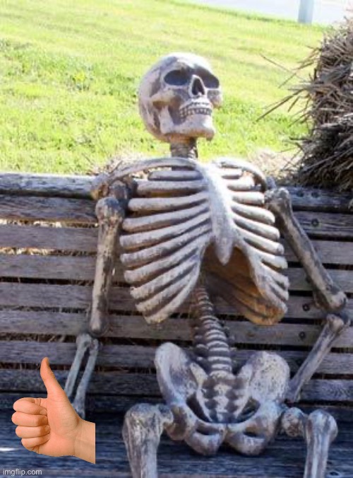 Waiting Skeleton Meme | image tagged in memes,waiting skeleton | made w/ Imgflip meme maker