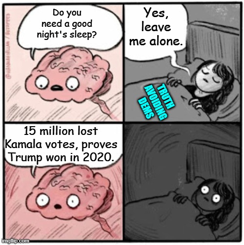 Bam!  Enjoy reality Dems. | Yes, leave me alone. Do you need a good night's sleep? TRUTH 
AVOIDING
 DEMS; 15 million lost Kamala votes, proves Trump won in 2020. | image tagged in brain before sleep | made w/ Imgflip meme maker