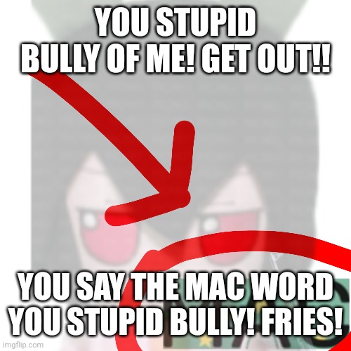 Guys. STOP! Let's ban fries | YOU STUPID BULLY OF ME! GET OUT!! YOU SAY THE MAC WORD
YOU STUPID BULLY! FRIES! | image tagged in ban fries | made w/ Imgflip meme maker