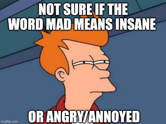 Futurama Fry Meme | NOT SURE IF THE WORD MAD MEANS INSANE; OR ANGRY/ANNOYED | image tagged in memes,futurama fry | made w/ Imgflip meme maker