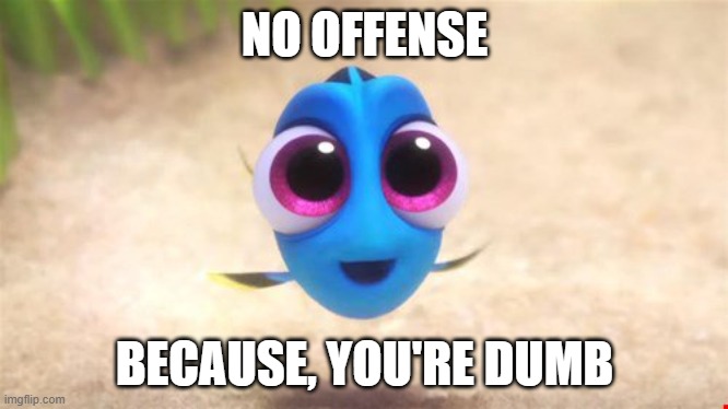 NO OFFENSE!!! 8 | NO OFFENSE; BECAUSE, YOU'RE DUMB | image tagged in baby dory | made w/ Imgflip meme maker