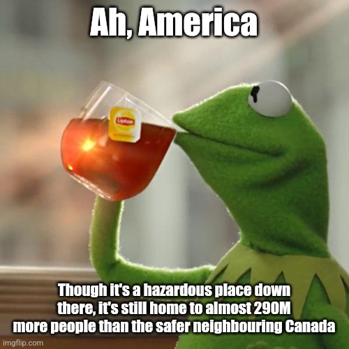 But That's None Of My Business Meme | Ah, America Though it's a hazardous place down there, it's still home to almost 290M more people than the safer neighbouring Canada | image tagged in memes,but that's none of my business,kermit the frog | made w/ Imgflip meme maker