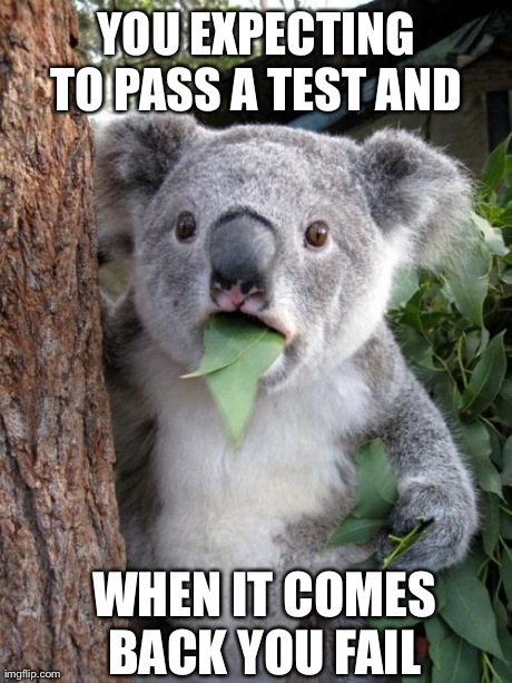 Surprised Koala | YOU EXPECTING TO PASS A TEST AND  WHEN IT COMES BACK YOU FAIL | image tagged in memes,surprised koala | made w/ Imgflip meme maker