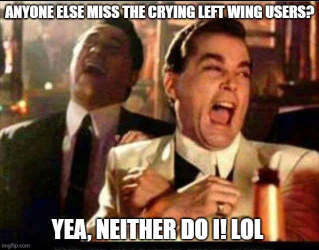 na na nana nana na na hey hey hey good bye! | ANYONE ELSE MISS THE CRYING LEFT WING USERS? YEA, NEITHER DO I! LOL | image tagged in lol good fellas,funny memes,see nobody cares,political humor,donald trump approves | made w/ Imgflip meme maker