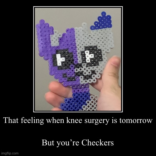 Wawa | That feeling when knee surgery is tomorrow | But you’re Checkers | image tagged in funny,demotivationals | made w/ Imgflip demotivational maker