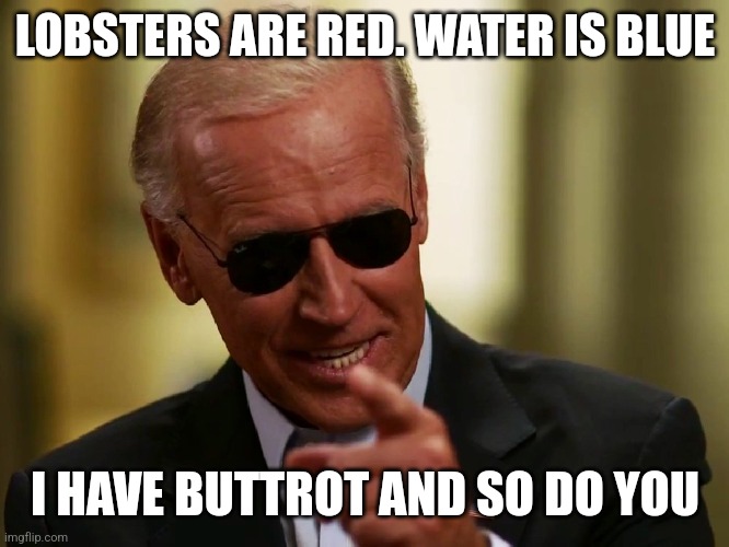 Biden Lobster Buttrot | LOBSTERS ARE RED. WATER IS BLUE; I HAVE BUTTROT AND SO DO YOU | image tagged in cool joe biden,funny memes | made w/ Imgflip meme maker