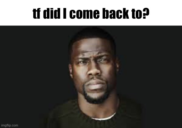 Kevin hart stare | tf did I come back to? | image tagged in gib tldr | made w/ Imgflip meme maker