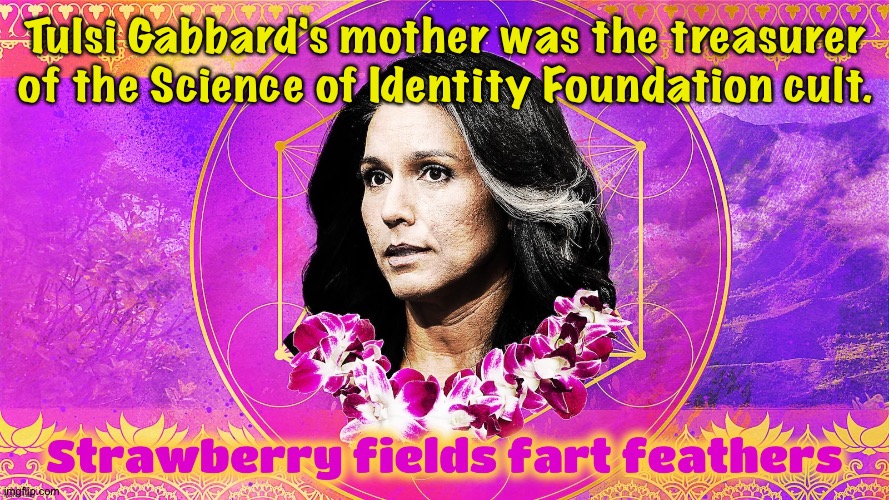 Her family was deep into it. | Tulsi Gabbard's mother was the treasurer of the Science of Identity Foundation cult. | image tagged in tulsi gabbard,sif cult | made w/ Imgflip meme maker