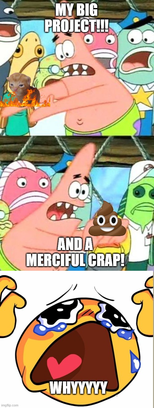 Put It Somewhere Else Patrick Meme | MY BIG PROJECT!!! AND A MERCIFUL CRAP! WHYYYYY | image tagged in memes,put it somewhere else patrick | made w/ Imgflip meme maker