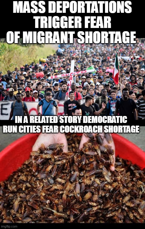 It's just about as likely to happen | MASS DEPORTATIONS TRIGGER FEAR OF MIGRANT SHORTAGE; IN A RELATED STORY DEMOCRATIC RUN CITIES FEAR COCKROACH SHORTAGE | image tagged in illegal immigrant shortage meme | made w/ Imgflip meme maker