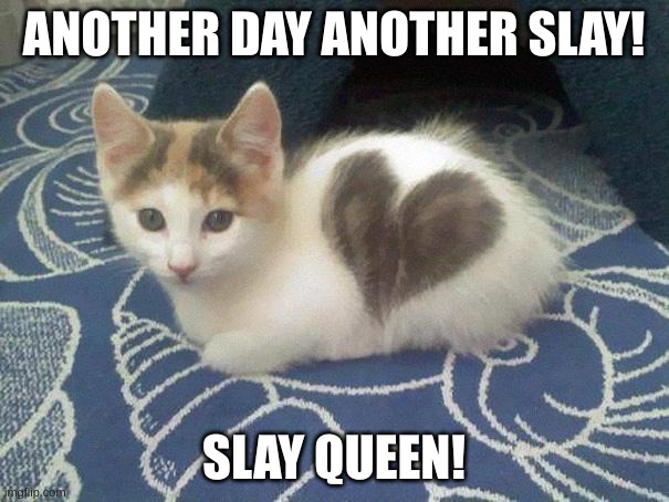 slay queen | ANOTHER DAY ANOTHER SLAY! SLAY QUEEN! | image tagged in cute cat heart | made w/ Imgflip meme maker