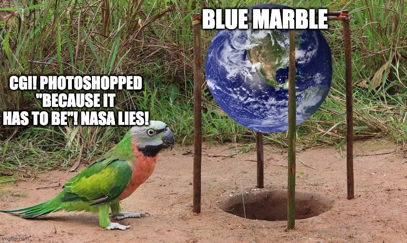 Flerf catcher | BLUE MARBLE; CGI! PHOTOSHOPPED "BECAUSE IT HAS TO BE"! NASA LIES! | image tagged in flat earth parrot catcher,nasa lies,paranoid parrot | made w/ Imgflip meme maker