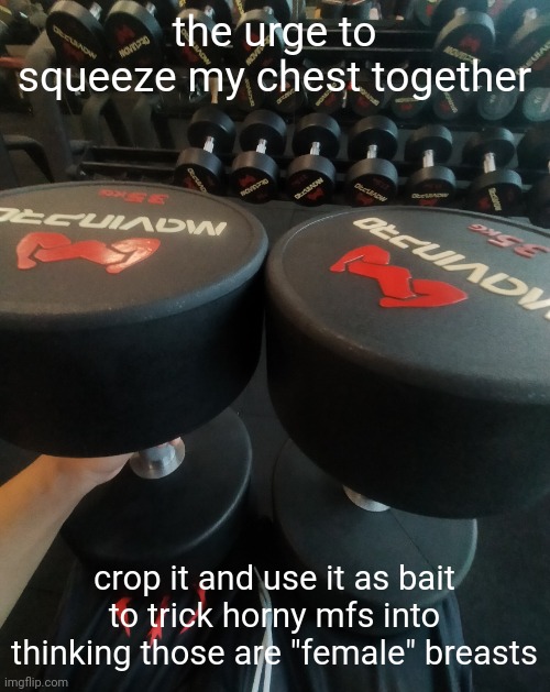 big 35 | the urge to squeeze my chest together; crop it and use it as bait to trick horny mfs into thinking those are "female" breasts | image tagged in big 35 | made w/ Imgflip meme maker