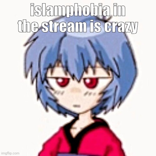 some of y'all be falling to crazy misinformation ngl | islamphobia in the stream is crazy | image tagged in rei 3 | made w/ Imgflip meme maker