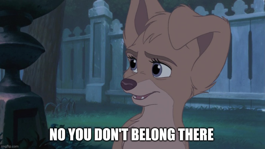 No You Don't Belong There | NO YOU DON'T BELONG THERE | image tagged in lady and the tramp 2 angel,disney,dogs | made w/ Imgflip meme maker