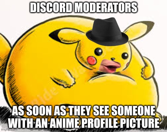 Discord mods | DISCORD MODERATORS; AS SOON AS THEY SEE SOMEONE WITH AN ANIME PROFILE PICTURE | image tagged in pikachu,fat | made w/ Imgflip meme maker