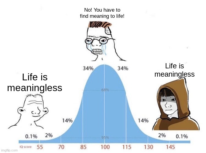 Bell Curve | Life is meaningless No! You have to find meaning to life! Life is meaningless | image tagged in bell curve | made w/ Imgflip meme maker