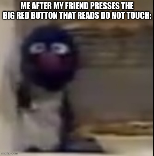 noooooooooo! | ME AFTER MY FRIEND PRESSES THE BIG RED BUTTON THAT READS DO NOT TOUCH: | image tagged in grover staring | made w/ Imgflip meme maker