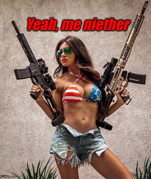 Patriotic Woman gun Rifle AR-15 flag sexy | Yeah, me niether | image tagged in patriotic woman gun rifle ar-15 flag sexy | made w/ Imgflip meme maker