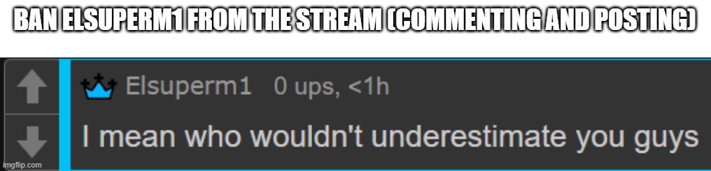 proof in comments | BAN ELSUPERM1 FROM THE STREAM (COMMENTING AND POSTING) | image tagged in memes,meme,funny,aub,comments,banana | made w/ Imgflip meme maker