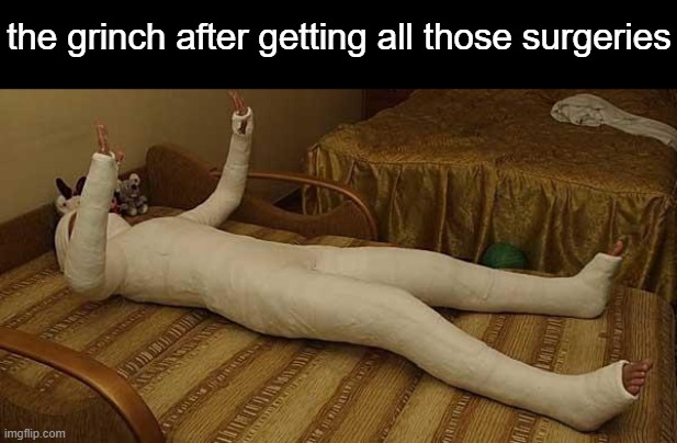 . | the grinch after getting all those surgeries | image tagged in whole body cast | made w/ Imgflip meme maker