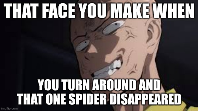 Burn the house down | THAT FACE YOU MAKE WHEN; YOU TURN AROUND AND THAT ONE SPIDER DISAPPEARED | image tagged in saitama,nope | made w/ Imgflip meme maker