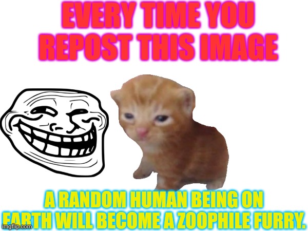 Yay | EVERY TIME YOU REPOST THIS IMAGE; A RANDOM HUMAN BEING ON EARTH WILL BECOME A ZOOPHILE FURRY. | image tagged in memes,zoophile,msmg,shitpost,furry | made w/ Imgflip meme maker