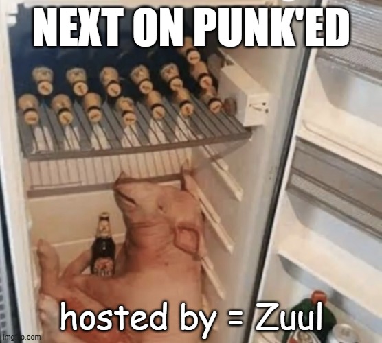 Next on Zuul = pig | NEXT ON PUNK'ED; hosted by = Zuul | image tagged in pig in fridge,punk,zuul,pig | made w/ Imgflip meme maker