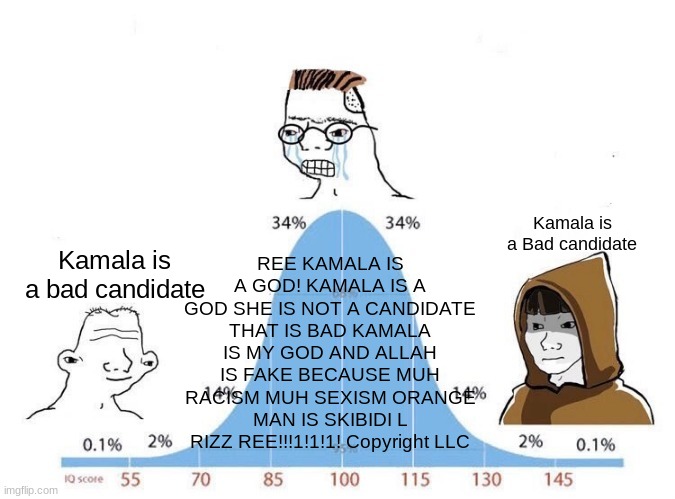 Real politics is based | REE KAMALA IS A GOD! KAMALA IS A GOD SHE IS NOT A CANDIDATE THAT IS BAD KAMALA IS MY GOD AND ALLAH IS FAKE BECAUSE MUH RACISM MUH SEXISM ORANGE MAN IS SKIBIDI L RIZZ REE!!!1!1!1! Copyright LLC; Kamala is a Bad candidate; Kamala is a bad candidate | image tagged in bell curve | made w/ Imgflip meme maker