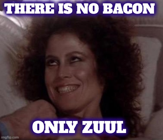 No Dana; only ZUUL | THERE IS NO BACON ONLY ZUUL | image tagged in no dana only zuul | made w/ Imgflip meme maker