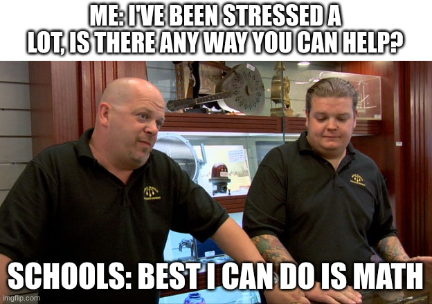 Pawn Stars Best I Can Do | ME: I'VE BEEN STRESSED A LOT, IS THERE ANY WAY YOU CAN HELP? SCHOOLS: BEST I CAN DO IS MATH | image tagged in pawn stars best i can do | made w/ Imgflip meme maker