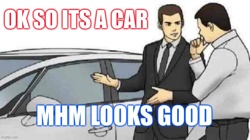 Car Salesman Slaps Roof Of Car | OK SO ITS A CAR; MHM LOOKS GOOD | image tagged in memes,car salesman slaps roof of car | made w/ Imgflip meme maker