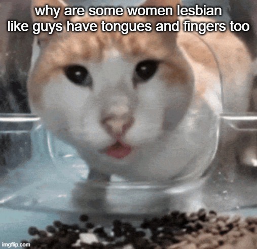 Mr Shock stare | why are some women lesbian like guys have tongues and fingers too | image tagged in mr shock stare | made w/ Imgflip meme maker