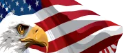 American flag and eagle Blank Meme Template