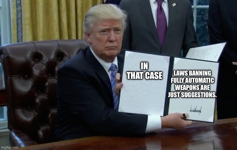 Executive Order Trump | IN THAT CASE LAWS BANNING FULLY AUTOMATIC WEAPONS ARE JUST SUGGESTIONS. | image tagged in executive order trump | made w/ Imgflip meme maker