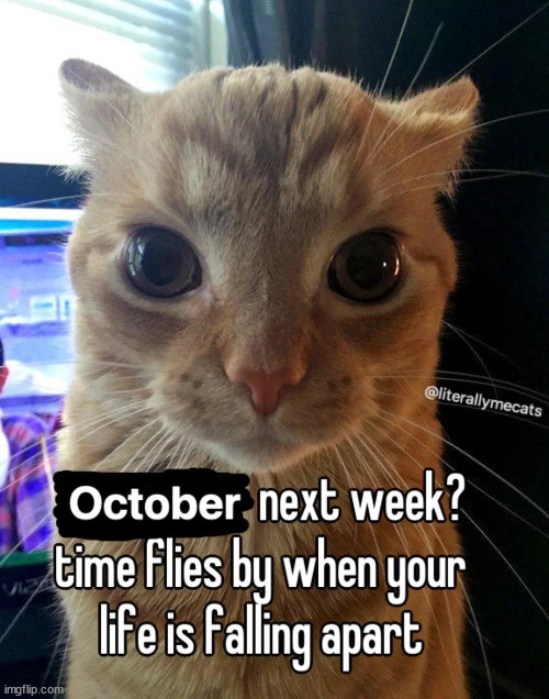 I can't believe that October is already here bruh | made w/ Imgflip meme maker