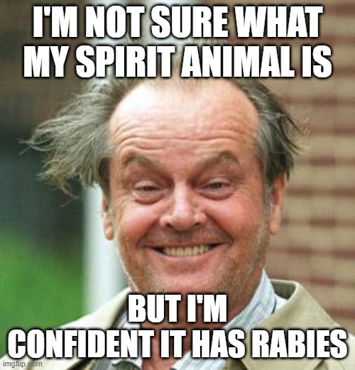 Spirit Animal | I'M NOT SURE WHAT MY SPIRIT ANIMAL IS; BUT I'M CONFIDENT IT HAS RABIES | image tagged in jack nicholson crazy hair | made w/ Imgflip meme maker