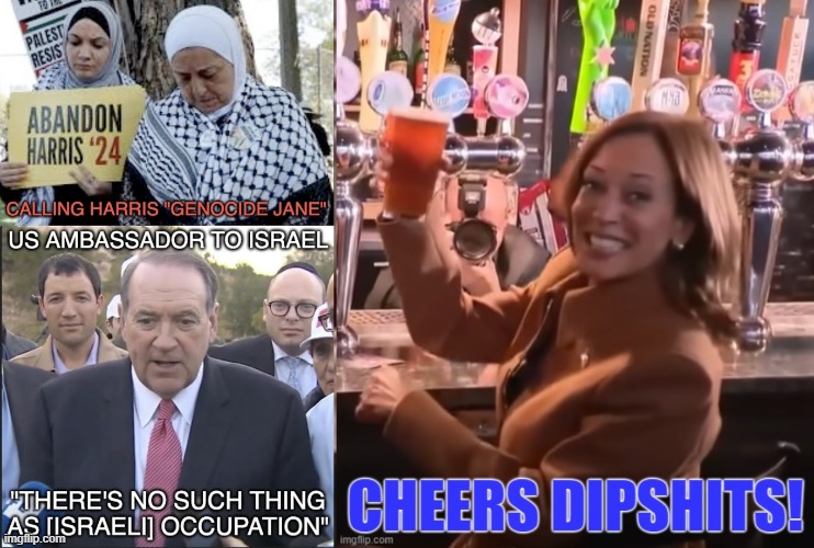 "Harris is too pro-Israel" | image tagged in idiots,voting | made w/ Imgflip meme maker