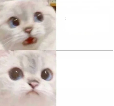 Cat Fear Cat Curious Blank Meme Template