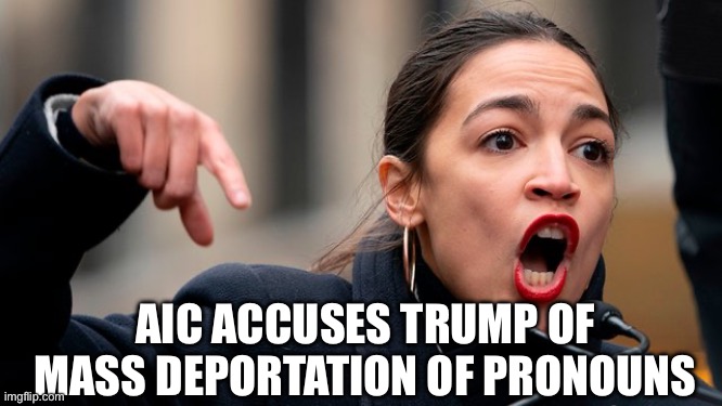 AOC pronouns | AIC ACCUSES TRUMP OF MASS DEPORTATION OF PRONOUNS | made w/ Imgflip meme maker