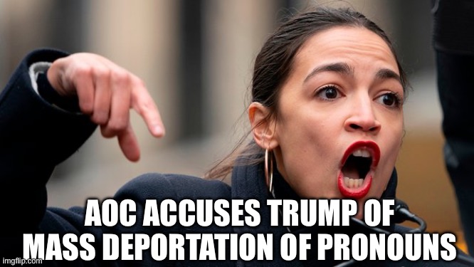 AOC pronouns | AOC ACCUSES TRUMP OF MASS DEPORTATION OF PRONOUNS | made w/ Imgflip meme maker