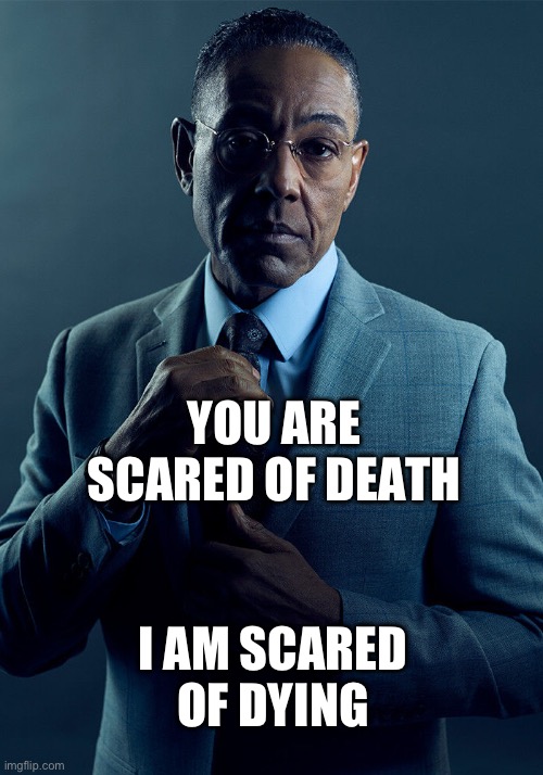 Gus Fring we are not the same | YOU ARE SCARED OF DEATH; I AM SCARED OF DYING | image tagged in gus fring we are not the same | made w/ Imgflip meme maker