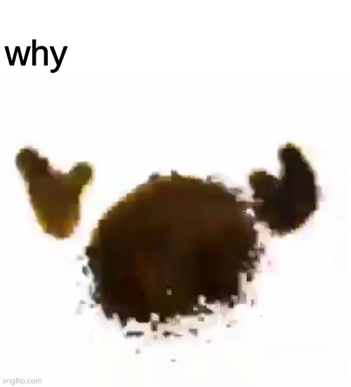 Emoji dies | why | image tagged in emoji dies | made w/ Imgflip meme maker