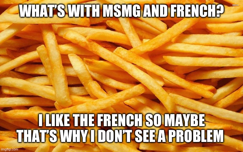 Bro I saw a salad dressing called “creamy french Italian” and I still thinks it’s funny | WHAT’S WITH MSMG AND FRENCH? I LIKE THE FRENCH SO MAYBE THAT’S WHY I DON’T SEE A PROBLEM | image tagged in french fries | made w/ Imgflip meme maker